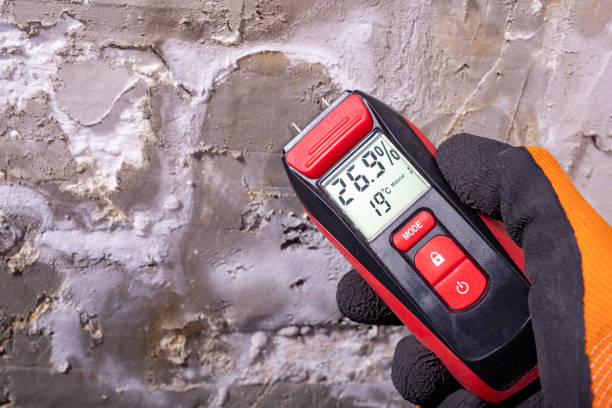Best Mold Testing and Inspection Services in Petal, MS